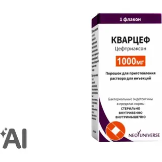 КВАРЦЕФ 1,0 ПОР Д/ПРИГ Р-РА ДЛЯ ИНЪЕК N1 ФЛ